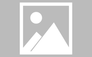 大连深圳定制网站建设教程（深圳网站定制公司）